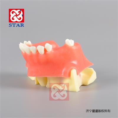 上頜竇打孔種植切開(kāi)縫合練習