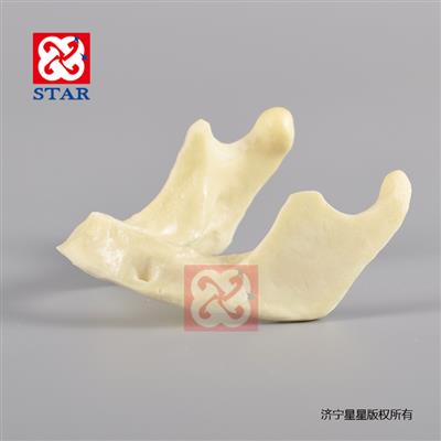 直觀(guān)演示牙脊骨種植牙齒練習