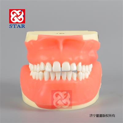 膿腫切開(kāi)根尖切除骨突修復牙齒拔除縫合