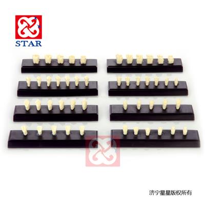 牙冠牙體重點(diǎn)練習備制1/3/5/6