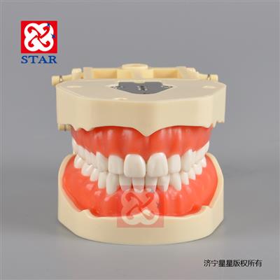 標準模型M8014